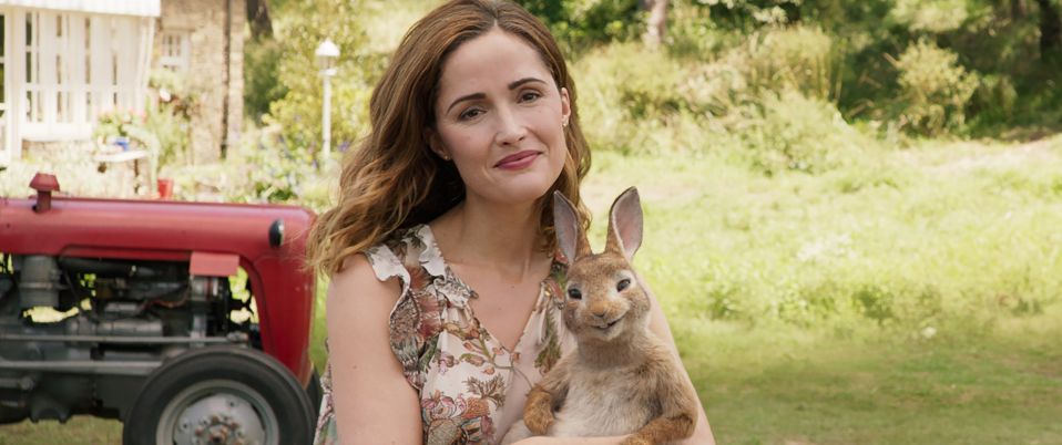 Pierre Lapin