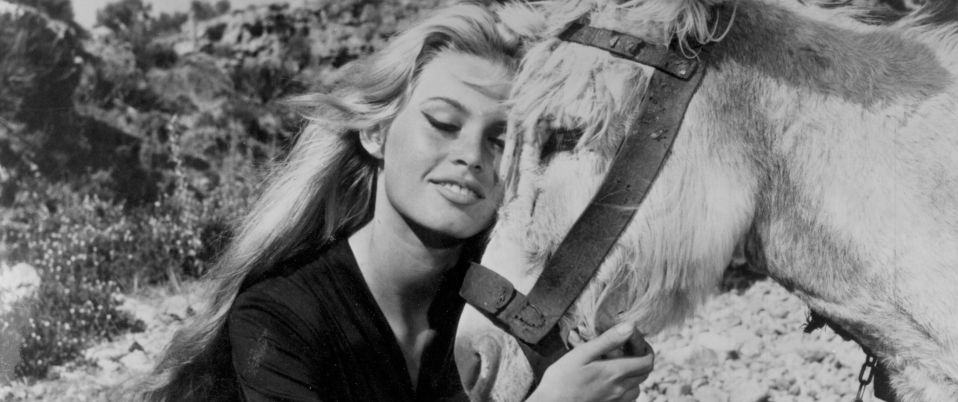 Les Bijoutiers du clair de lune