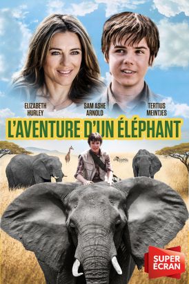 L'aventure d'un éléphant