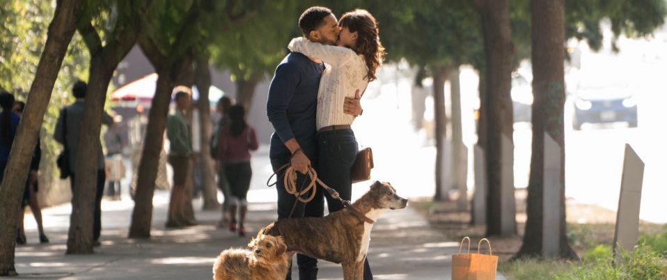 Par amour des chiens