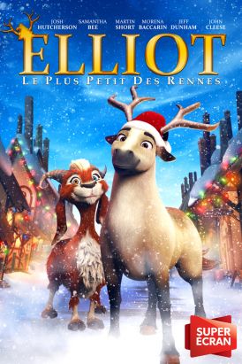Elliot : le plus petit des rennes