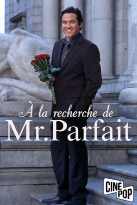 À la recherche de Mr. Parfait