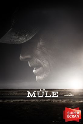 La mule